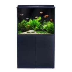 Interpet 120 Litre Aquaverse Vision Tank
