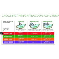 Blagdon Amphibious IQ 2250-4500 Pond Pump -Hozelock Store 5015368056106 5