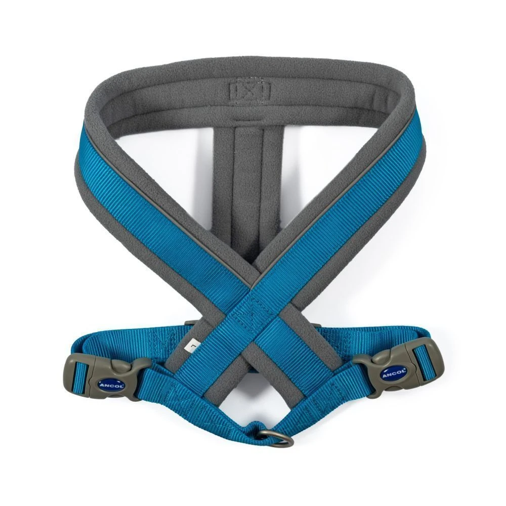 Ancol Viva Medium Blue Padded Dog Harness 2 Ancol Viva Medium Blue Padded Dog Harness - Image 2