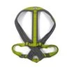 Ancol Viva XX-Large Lime Green Padded Dog Harness