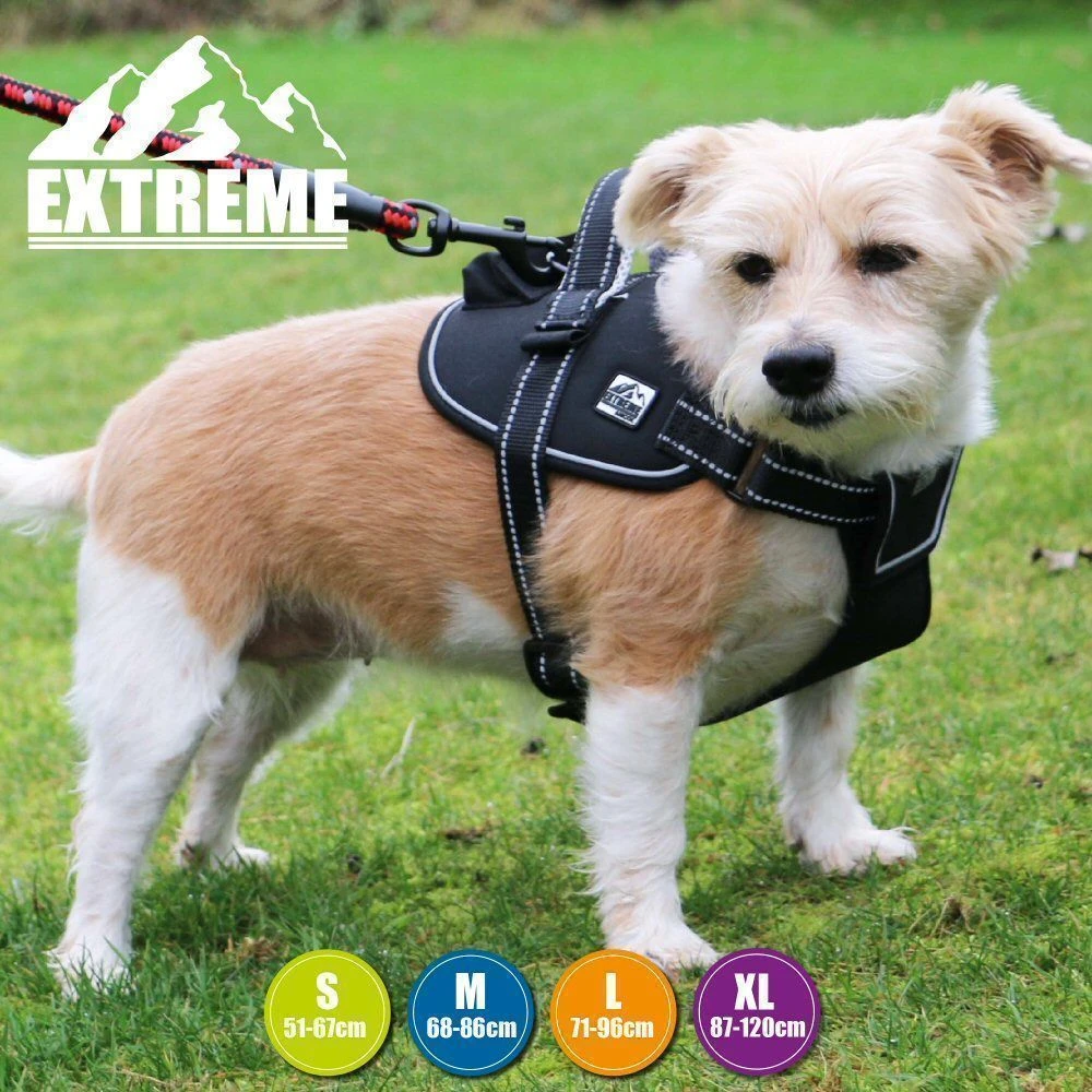 Ancol Extreme Large Black Harness 2 Ancol Extreme Large Black Harness - Image 2