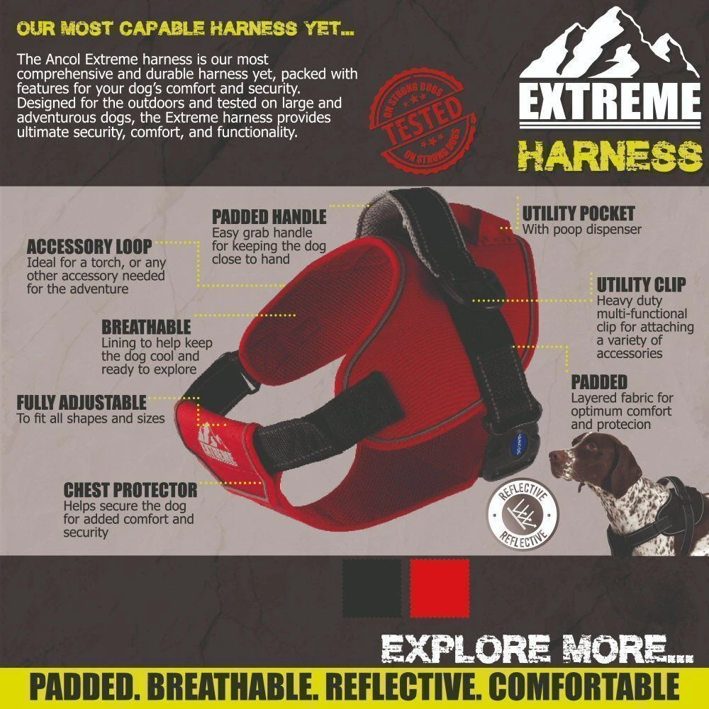 Ancol Extreme Medium Black Harness 3 Ancol Extreme Medium Black Harness - Image 3