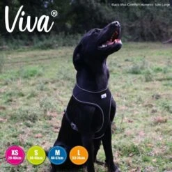 Ancol Viva Medium Black Comfort Mesh Dog Harness 6 Ancol Viva Medium Black Comfort Mesh Dog Harness -Hozelock Store 5016646185112 3 d3db27e7 292c 438b 90e1 f5bb10d8740b
