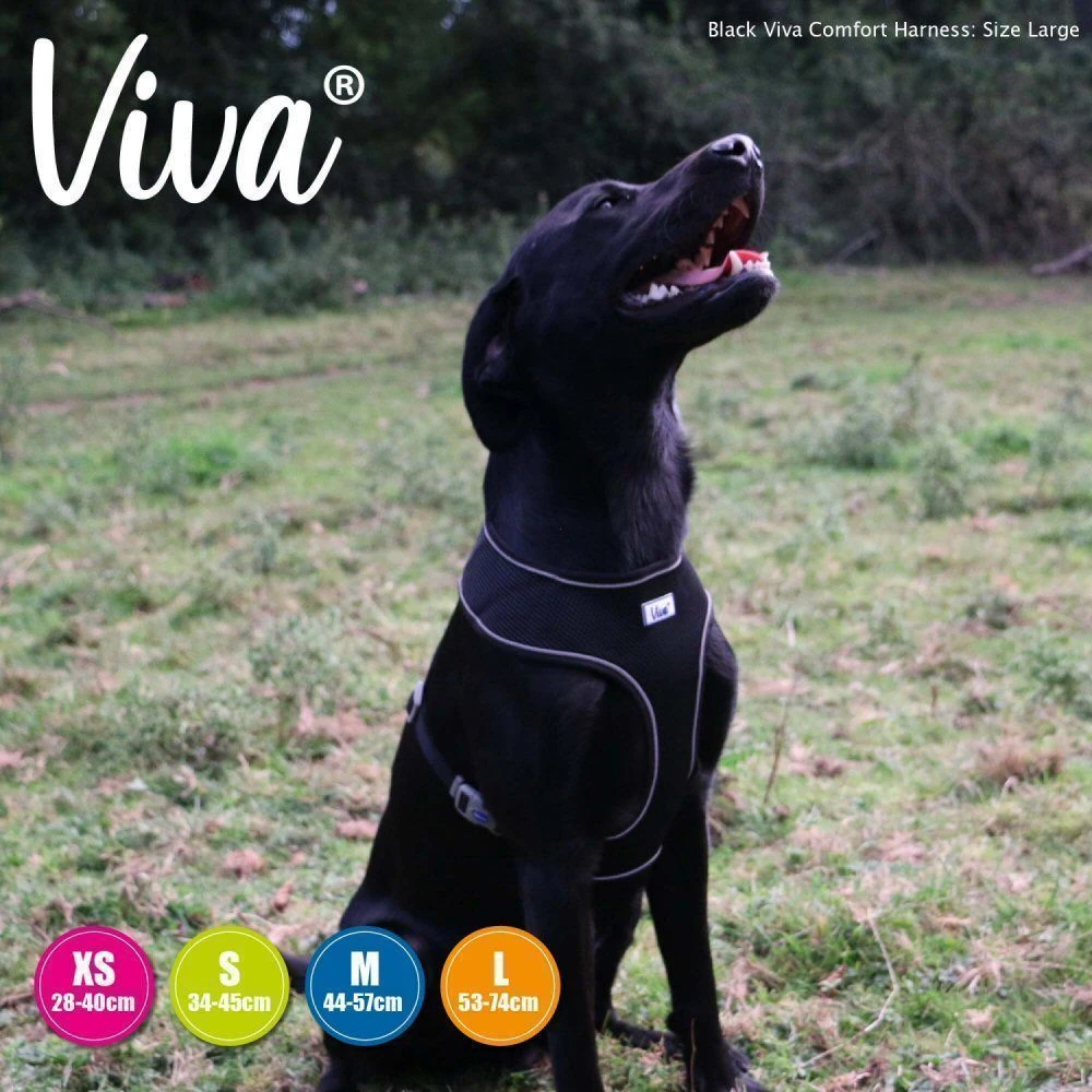 Ancol Viva Medium Black Comfort Mesh Dog Harness 3 Ancol Viva Medium Black Comfort Mesh Dog Harness - Image 3