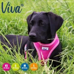 Ancol Viva Large Pink Comfort Mesh Dog Harness 6 Ancol Viva Large Pink Comfort Mesh Dog Harness -Hozelock Store 5016646185150 3 bef8751c cb68 4f8f 9969 9db9e20b54d2