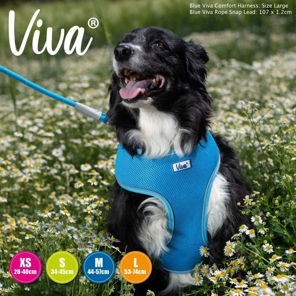 Ancol Viva Medium Blue Comfort Mesh Dog Harness 3 Ancol Viva Medium Blue Comfort Mesh Dog Harness - Image 3