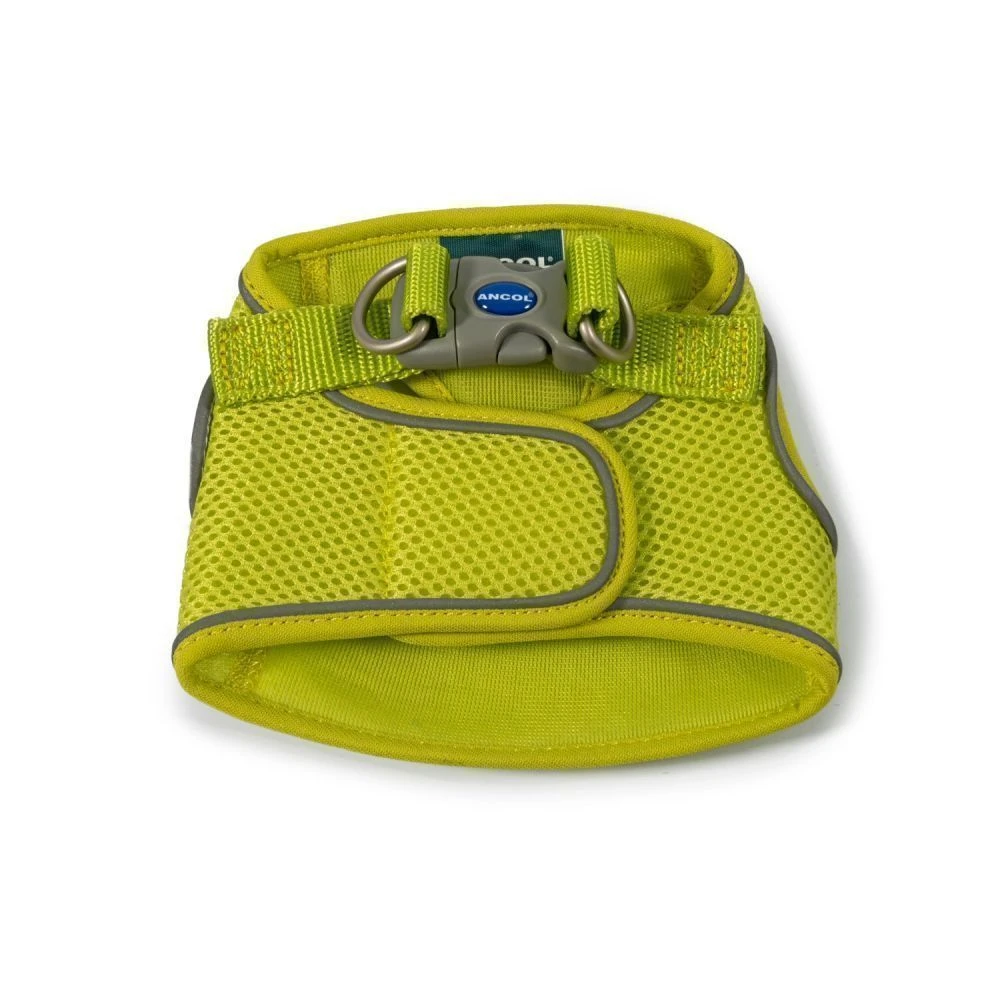 Ancol Viva Lime Green Step-In Harness 2 Ancol Viva Lime Green Step-In Harness - Image 2