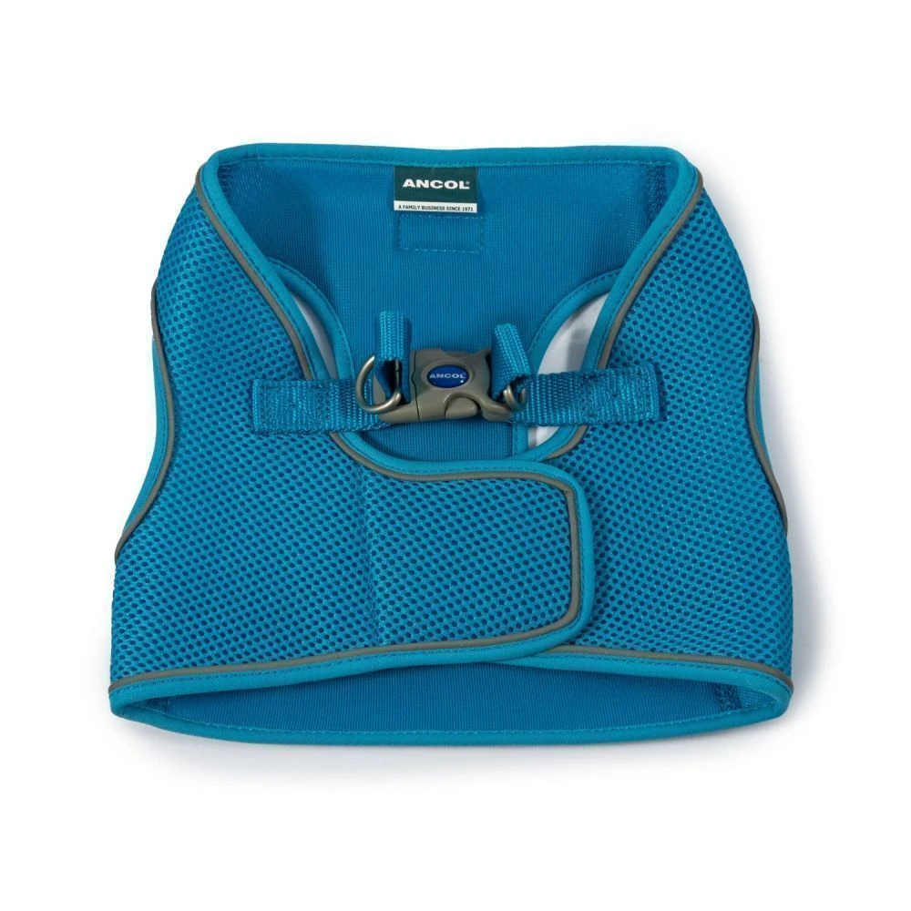 Ancol Viva Medium (46-54cm) Blue Step-In Harness 2 Ancol Viva Medium (46-54cm) Blue Step-In Harness - Image 2