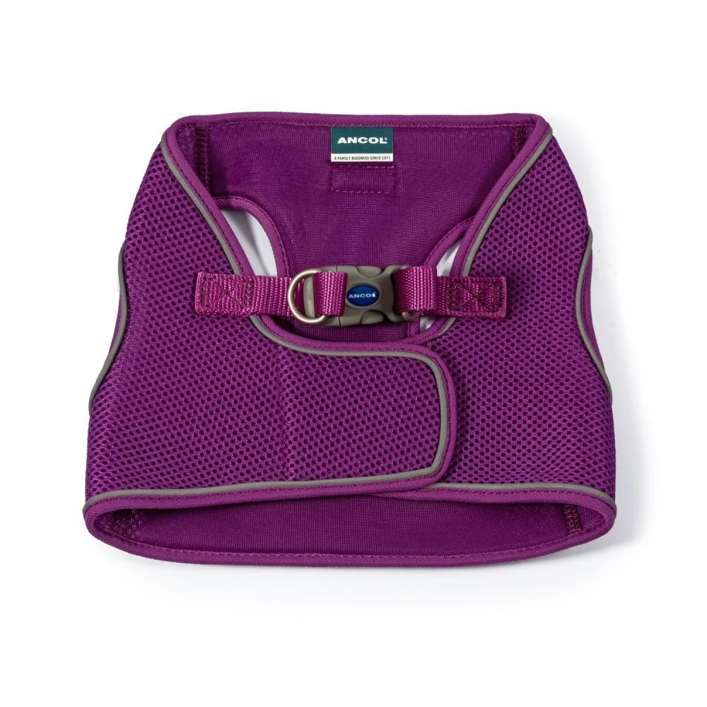 Ancol Viva Medium (46-54cm) Purple Step-In Harness 2 Ancol Viva Medium (46-54cm) Purple Step-In Harness - Image 2