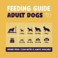 Burgess 12.5kg Sensitive Complete Turkey & Rice Adult Dog Food -Hozelock Store 5023861119952 2