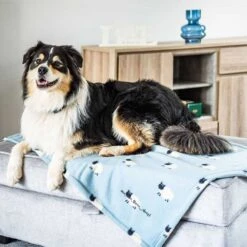 Zoon Counting Sheep Fleece Pet Comforter 5 Zoon Counting Sheep Fleece Pet Comforter -Hozelock Store 5050642042949 3