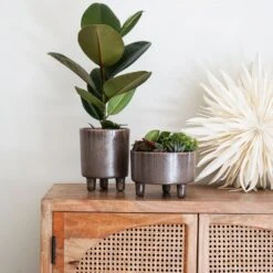 Ivyline 19cm Mocha Pisa Bowl Indoor Houseplant Pot -Hozelock Store 5055352850235 3