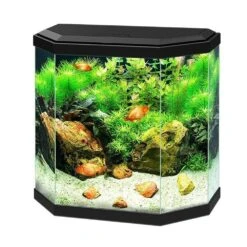 Ciano Aqua 30 Aquarium With LED Light