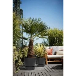 Elho 25cm Living Black Greenville Round Planter -Hozelock Store 8711904332334 5