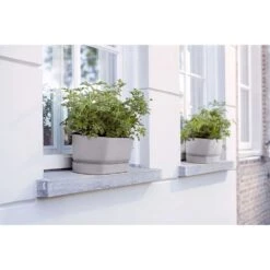 Elho 50cm Living Concrete Greenvillle Long Trough Planter -Hozelock Store 8711904358440 4