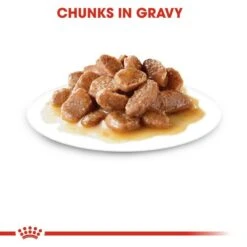 Royal Canin 12 X 85g Ageing +12 Cat Food In Gravy -Hozelock Store 9003579310175 2