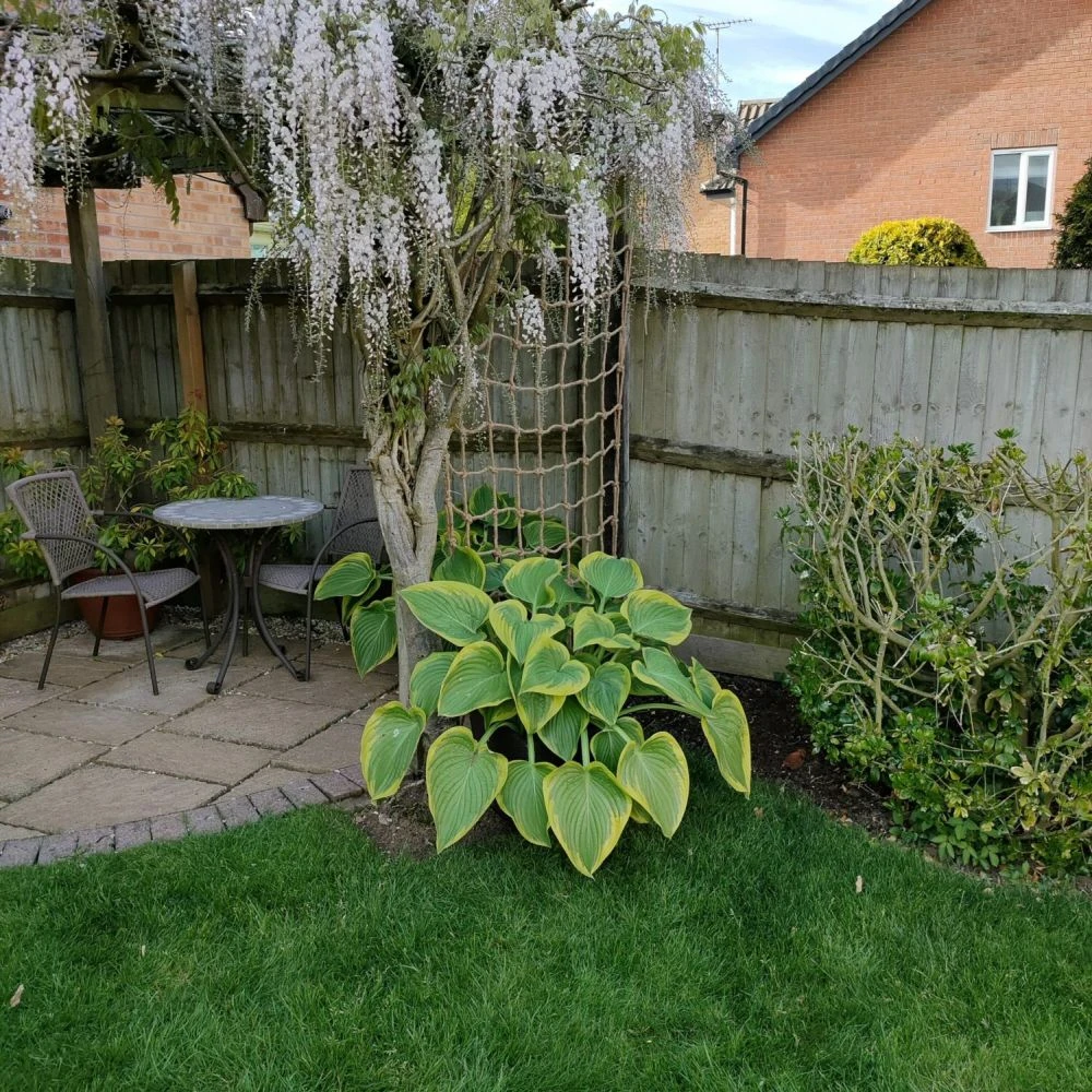 Hozelock Store -Hozelock Store 5010453008350 2