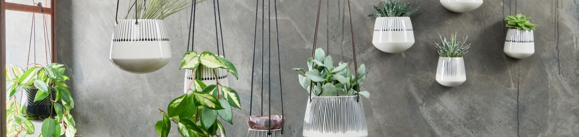 Hozelock Store -Hozelock Store Homefront Interiors Pots Planters Banner